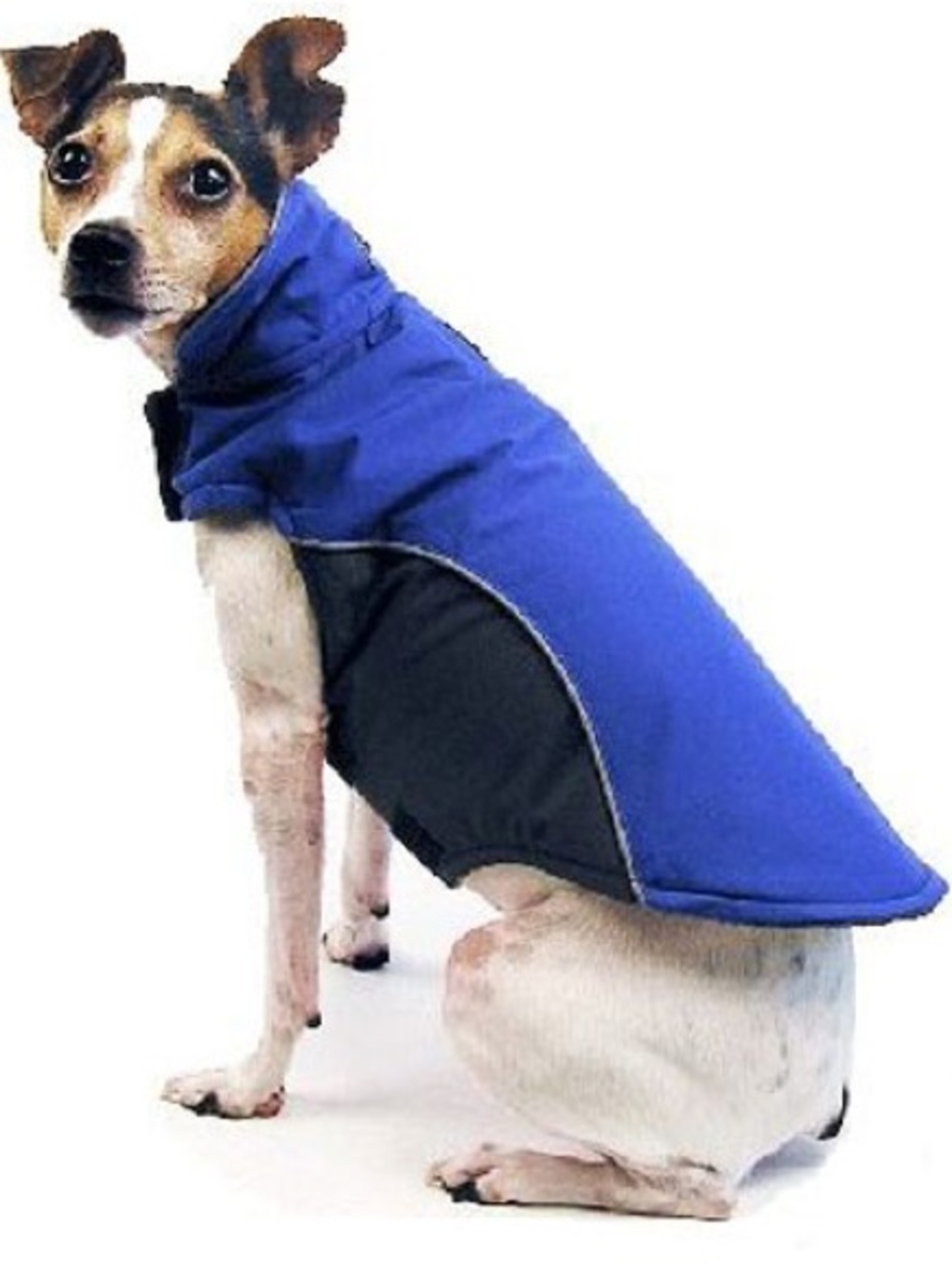 Apex Dog Coat - Blue ($44 Retail)